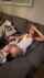 latina braces amateur