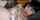 porn ad amateur anal