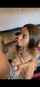 brunette bbc interacial