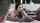 brunette cuckold bbc