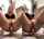 masturbation public big tits