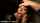 blowjob taylorstiles head