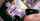 anal pov rule34