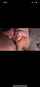 dryhump edging cumshot