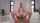 anal deep anal hard anal