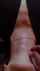 deepthroat rough throatpie
