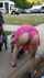 anal wife public