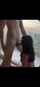 asian hot brunette
