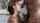 pornstar model adult