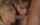 threesome ffm double bj