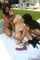 lesbian interracial horny