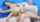 chaturbate cam couple