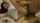 mien whore asian whore asian anal