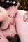 lesbian threesome shyla jennings