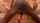 japanese bbc black dick