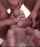 slut gangbang five cocks