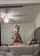 blowjob twerking brunette