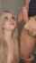 blowjob deepthroat blonde