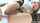 trueanal mike adriano anal sex
