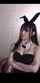 asian jav bunny