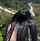 outside nature black hair