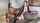 camgirl amateur brunette