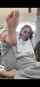 camgirl amateur brunette