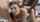 lana wolf brunette orgy