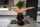 camgirl amateure brunnete