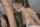deepthroat mature blonde