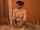 handjob cumshot massage parlor