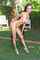 japanese jav tall