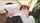 standing missionary hot jav