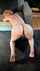 milf ginger redhead