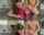 onlyfans camgirl teen