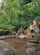 jav japanese onsen