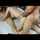 amateur spitroast threesome