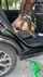 car sex blonde natural tits