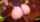 animation ass anal