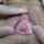 petite athletic asian