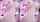 camgirl korean big tits