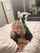 blonde onlyfans erome