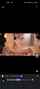 jav japanese hot