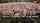perverse family public gangbang