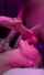worship blowjob rimming
