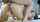 asian anal asian asian anal slut