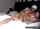 webcam british couple