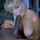 interracial bbc snowbunny