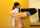 camgirl amature masturbate