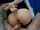 anal bondage tied
